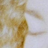 Who Will Go Out With a Friend