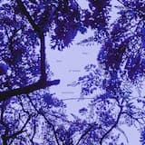 Despite Being in Love