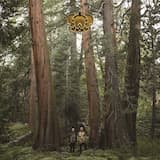 Something to Believe In