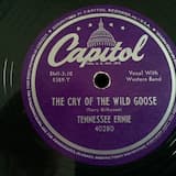 The Cry of the Wild Goose