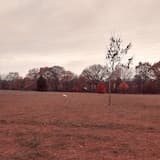 Fading Light in a Distant Sky