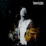 A vulture has alighted on my fate