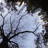 Music for the Advocates