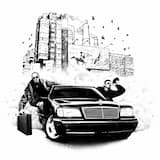 Тени от пальм