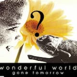 Wonderful World (7")