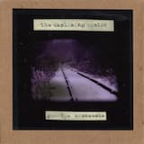 The World Is an Idiot