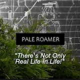 There's Not Only Real Life In Life!