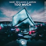 Too Much (extended mix)