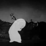 Mid‐October Maladies