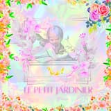 Le calme après la tempête