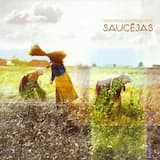 Tolka lila, tolka moza