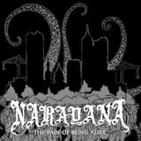 Stray Not From This Path