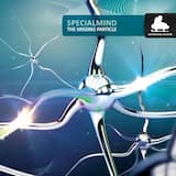 Soul Language (UCP Remix)