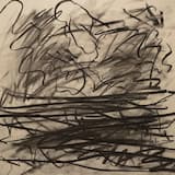 Distortions of the Murky Waters of Life