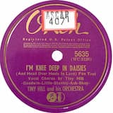 I'm Knee Deep in Dasies (And Head Over Heels in Love)