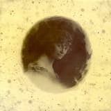 Zawiązanie (commencement) — 1920