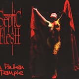 Brotherhood of the Fallen Knights