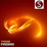 Firebird (Original Mix)