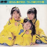 ほらね、春が来た