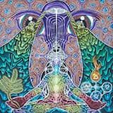 Divine Orchestration