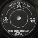 In the Misty Moonlight