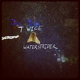 Twice (Little Dragon Cover)