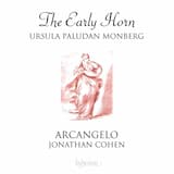 Sinfonia da camera: Andante