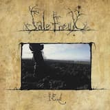 Corbeaux du soir, espoir