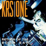 KRS-One Attacks