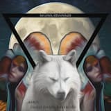 Baboon Skin Jib. Osaka Cum Drill.