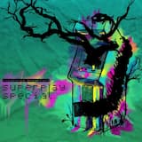 Secrets of the Videogame Masters