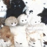 Buster’s Courtship