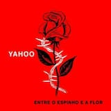 Entre o Espinho e a Flor