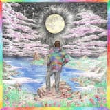 Stay Until the Light