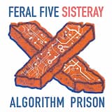 Algorithm Prison Reconstructed