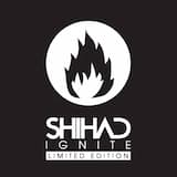 The Final Year of the Universe