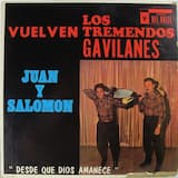 Palomas que andan volando