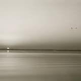 Monument to Self Destruction