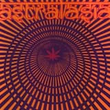 Hashishin (Full Version)