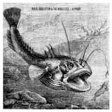 A Priori (Guillaume and the Coutu Dumonts the Wind Blows remix)