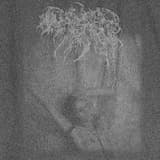 The Dissosiated Mind