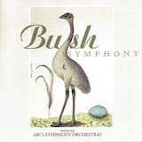 The Desert: Irkanda IV