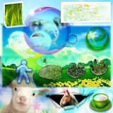 Cleaning workspace -- Got it! Detail Add: Single Click Installation and Play it on PC