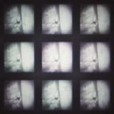 Drifting Into a Random Memory, 1961. Loving the Dog With the Children.