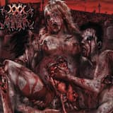 Ultimate Consequence of the Different Actions That Constitute the Set of Changes Sustained by Digested Stuff in the Whole Digestive Complex