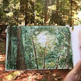 new moon hike (franklin canyon)