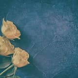 sketch for delusion : とある塒