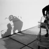 Golden Lady Sauerkraut