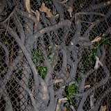 Alguien Detrás de Mi