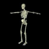 it's that time of year again